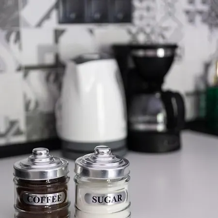 Downtown Stylish 2 דירה